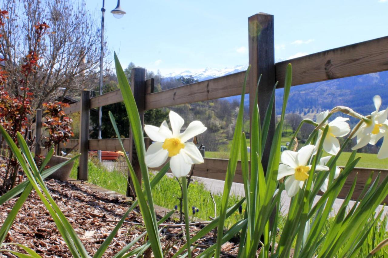 Appartamento Casa Yara - Agenzia Dolomiti Affitti Cavalese Esterno foto